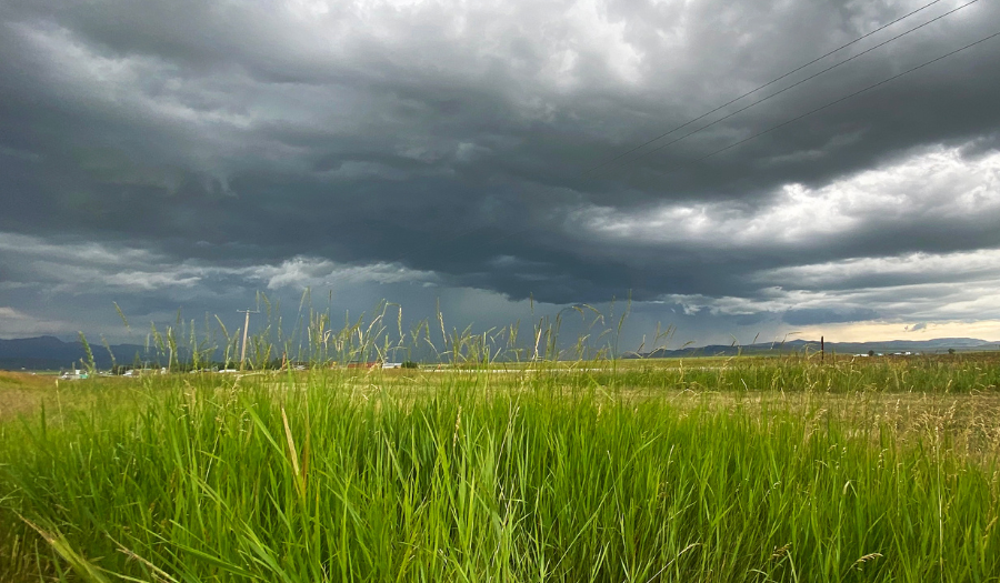 How Buffered ETFs Help Ride Out Market Storms
